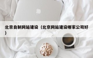 宜城北京自制网站建设（北京网站建设哪家公司好）